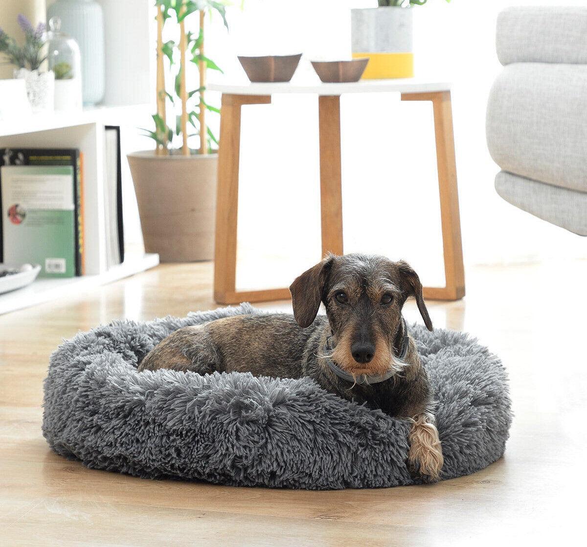 Cama Antiestrés para Mascotas