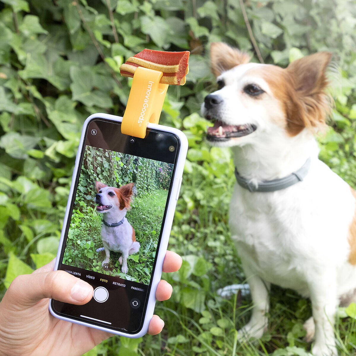 Clip de Selfies para Mascotas