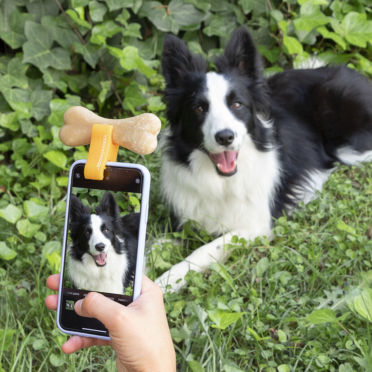 Clip de Selfies para Mascotas