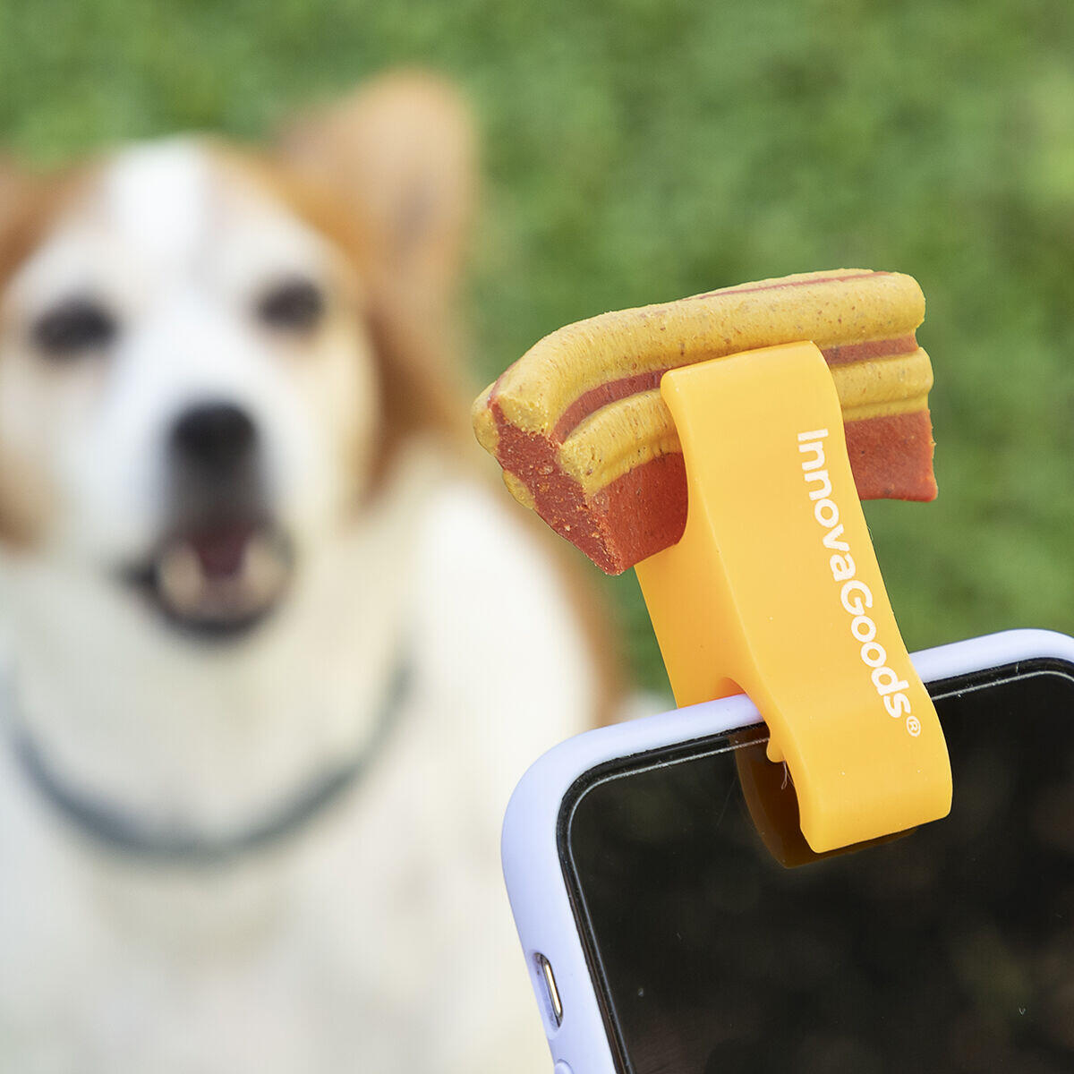 Clip de Selfies para Mascotas