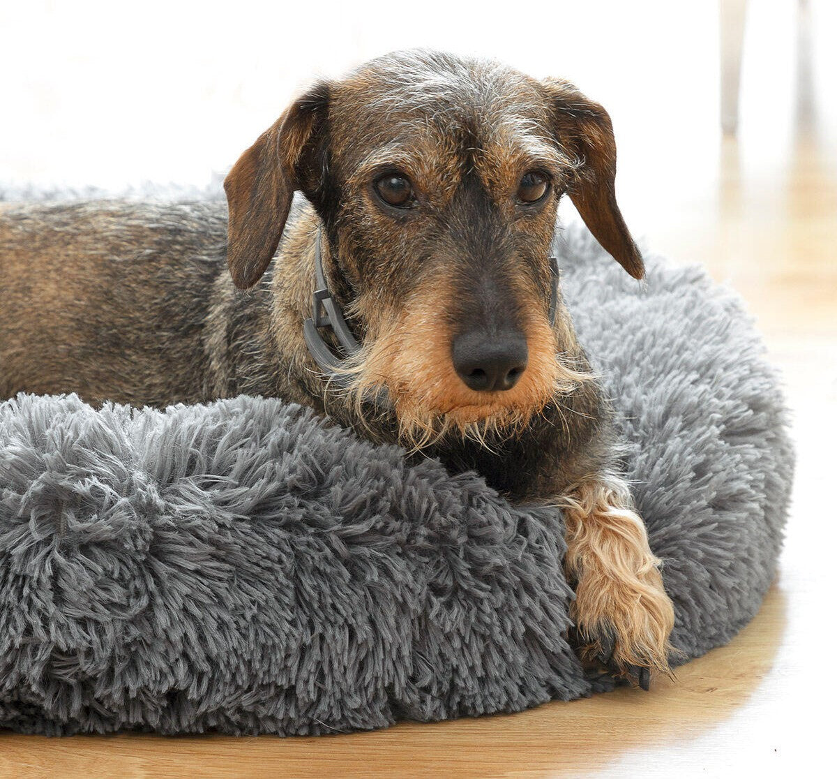 Cama Antiestrés para Mascotas
