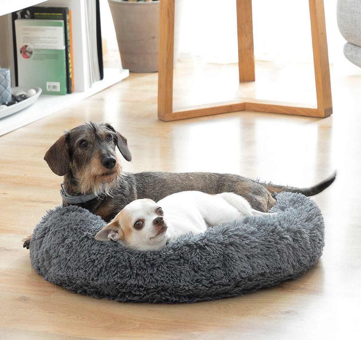 Cama Antiestrés para Mascotas